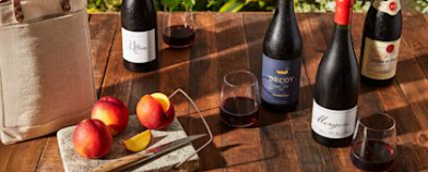 wine picnic