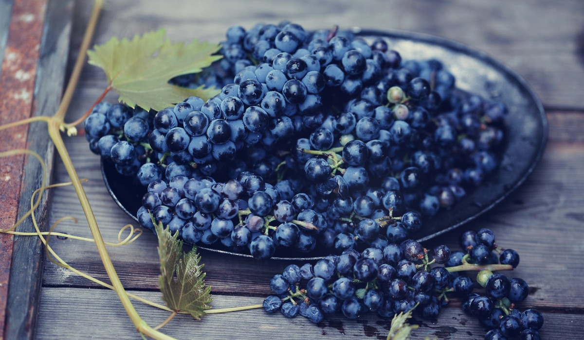 Where to Buy Cabernet Sauvignon Online