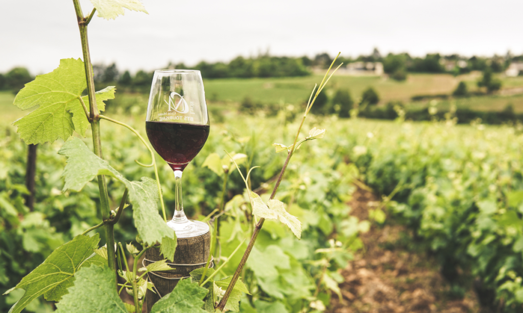winery