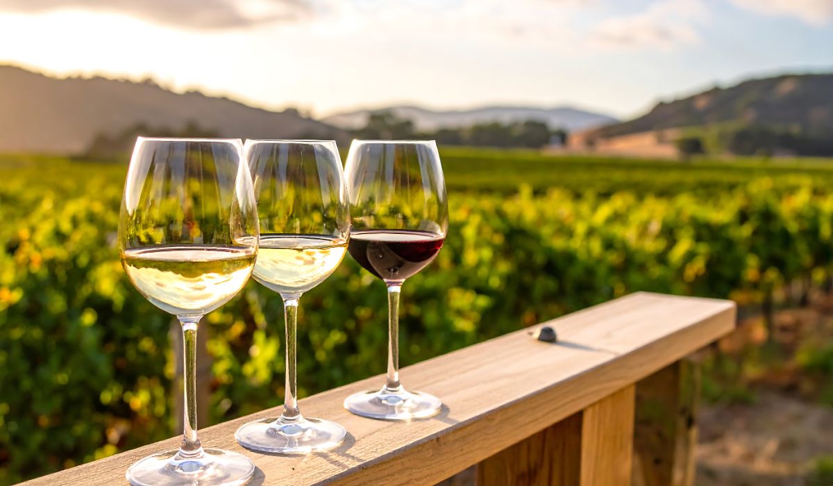 The Best Natural Wine Subscriptions